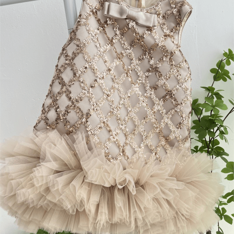 Robe sans manches en tulle à sequins